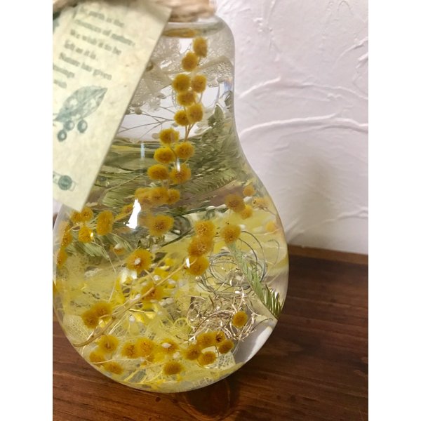 kotohana_herbarium-mimoza4_1